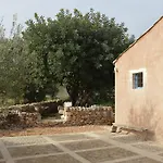 Terramater * נוטו