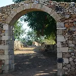 Terramater *