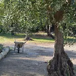 Terramater בית חווה נוטו
