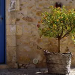 Terramater נוטו