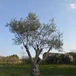 בית חווה Terramater נוטו
