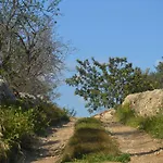Terramater בית חווה נוטו