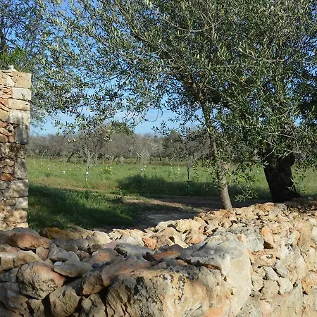 Çiftlik konaklama Terramater