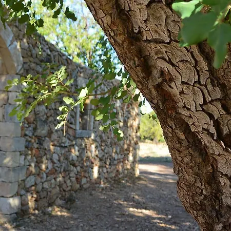 Çiftlik konaklama Terramater