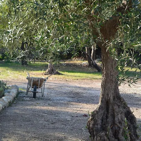 Terramater Vakantieboerderij Noto