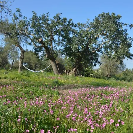 Terramater Çiftlik konaklama