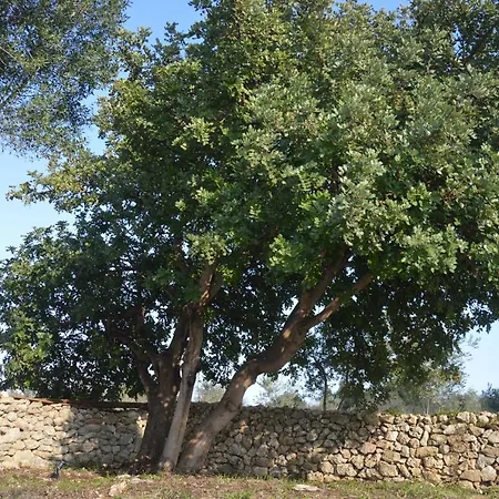 Terramater Çiftlik konaklama *