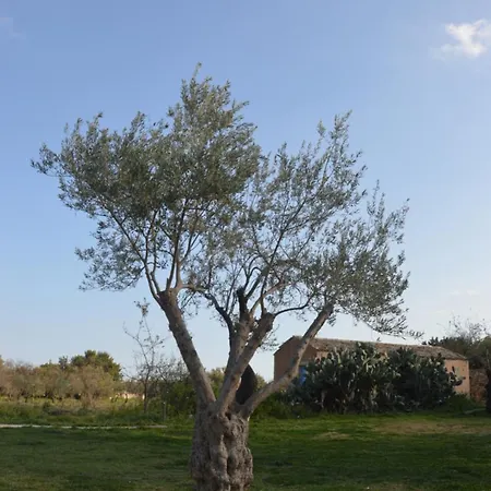 Çiftlik konaklama Terramater Noto