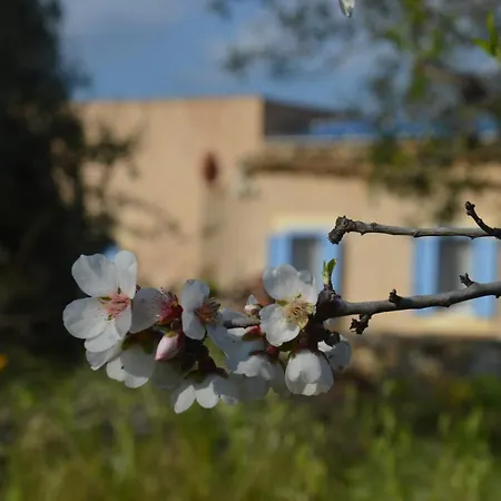 Terramater Çiftlik konaklama *
