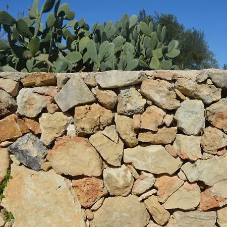 Terramater Çiftlik konaklama