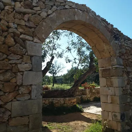 Terramater * Noto