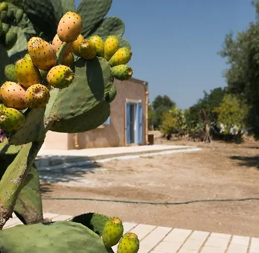 农家乐 Terramater *