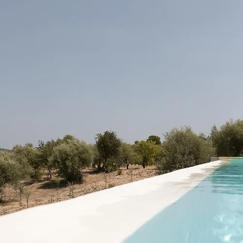 农家乐 Terramater