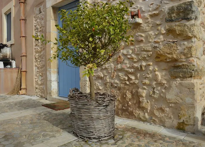 农家乐 Terramater *