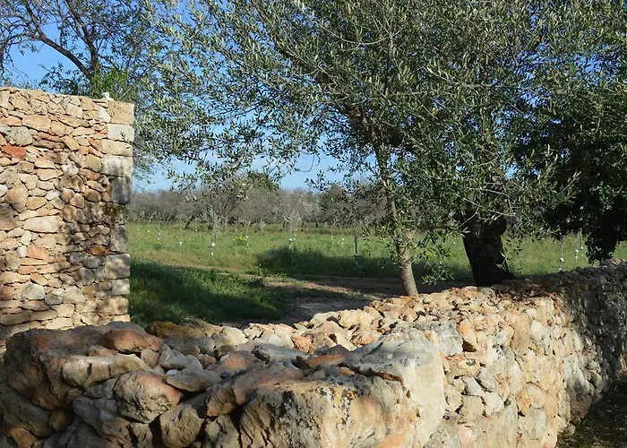 农家乐 Terramater