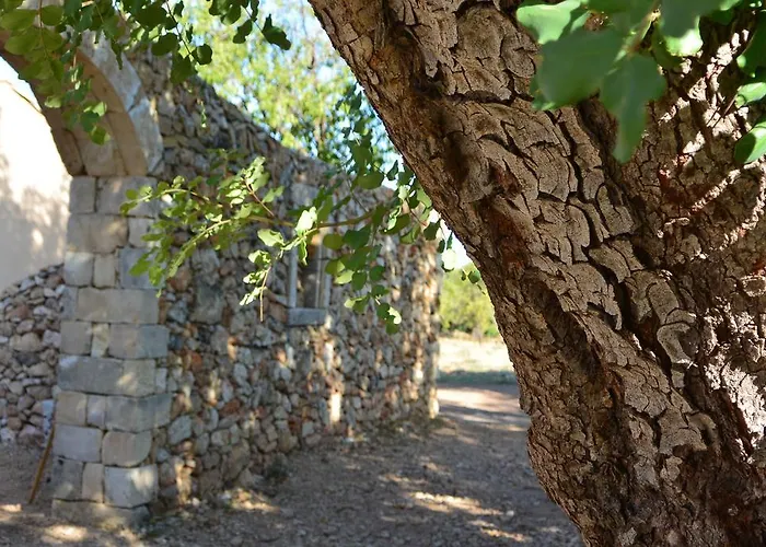 农家乐 Terramater