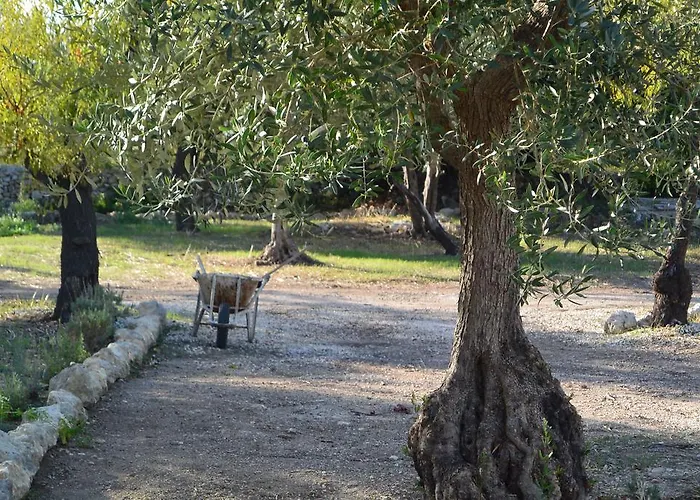 Terramater בית חווה נוטו