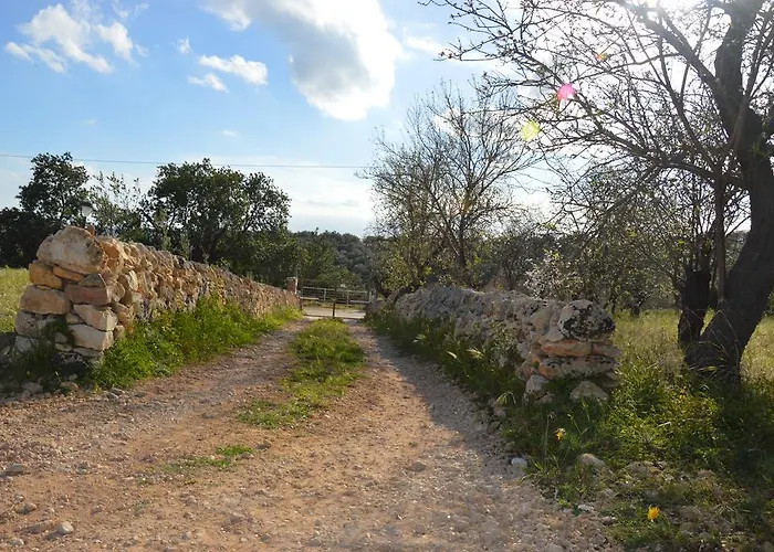 农家乐 Terramater *