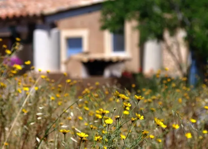 农家乐 Terramater *