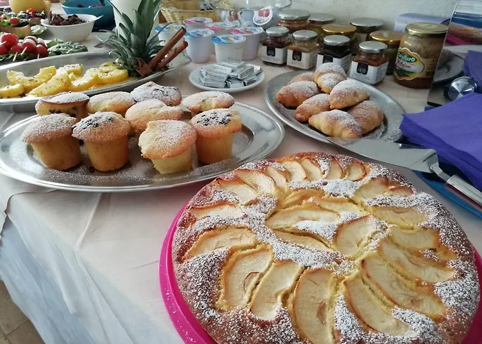 Terramater 农家乐