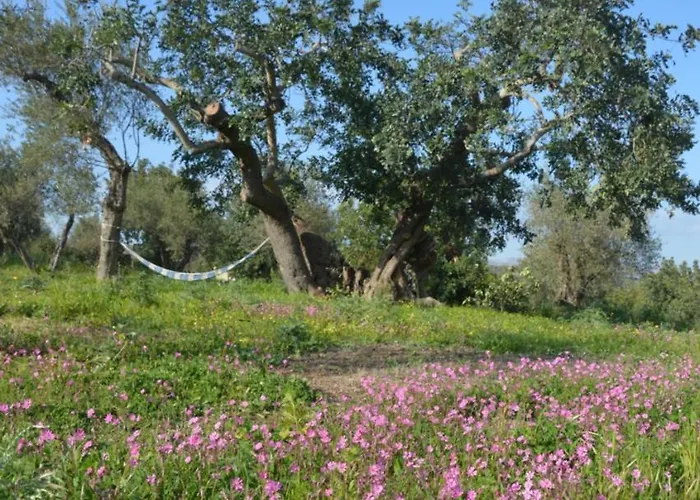 Terramater בית חווה
