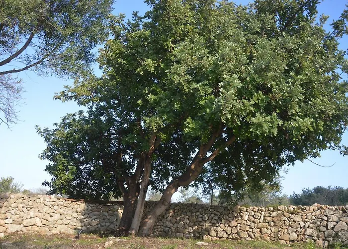 Terramater 农家乐 *