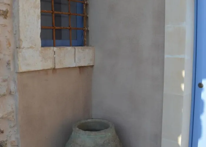 Terramater 农家乐 诺托