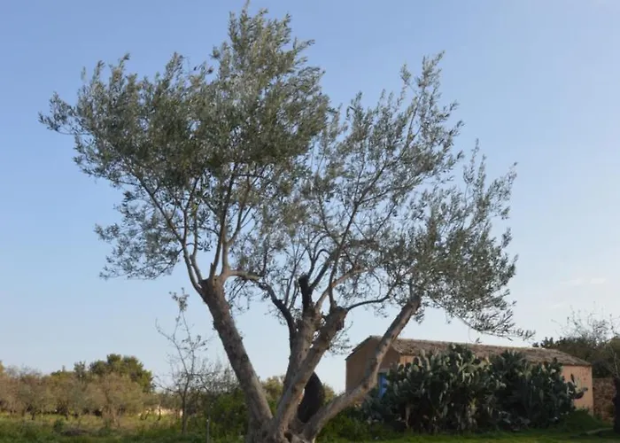 בית חווה Terramater נוטו
