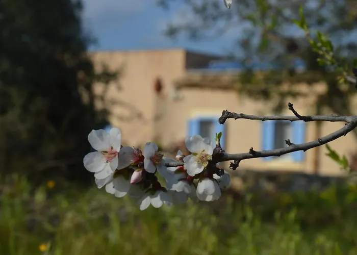 Terramater 农家乐 *