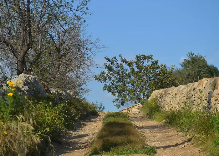 Terramater בית חווה נוטו
