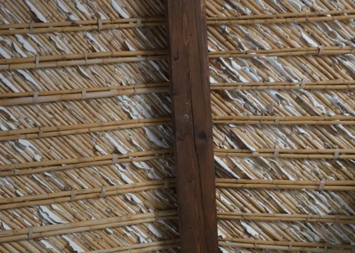 Terramater 农家乐 诺托