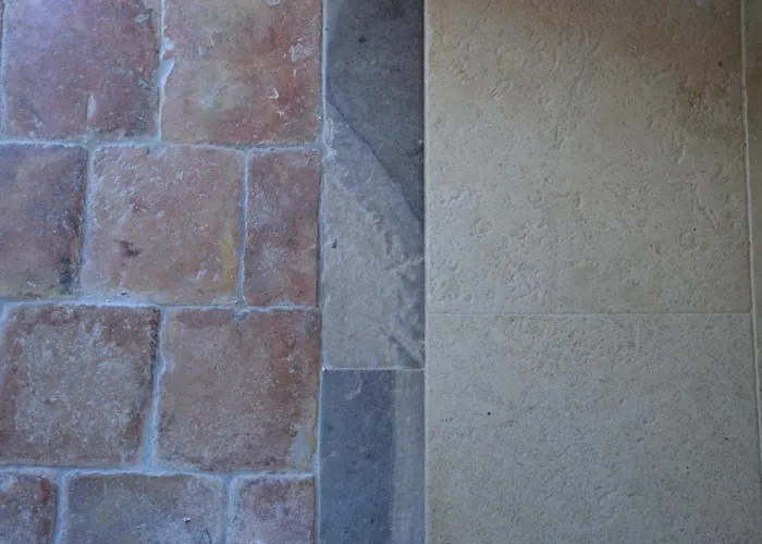 农家乐 Terramater *