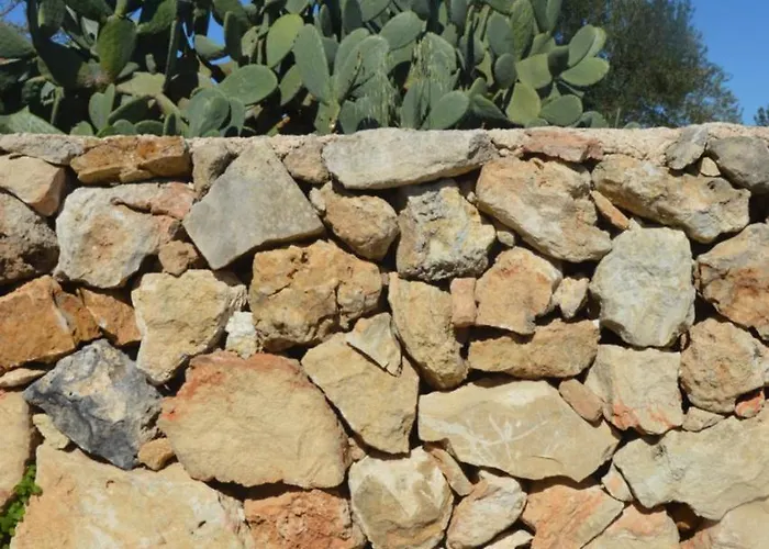 Terramater 农家乐